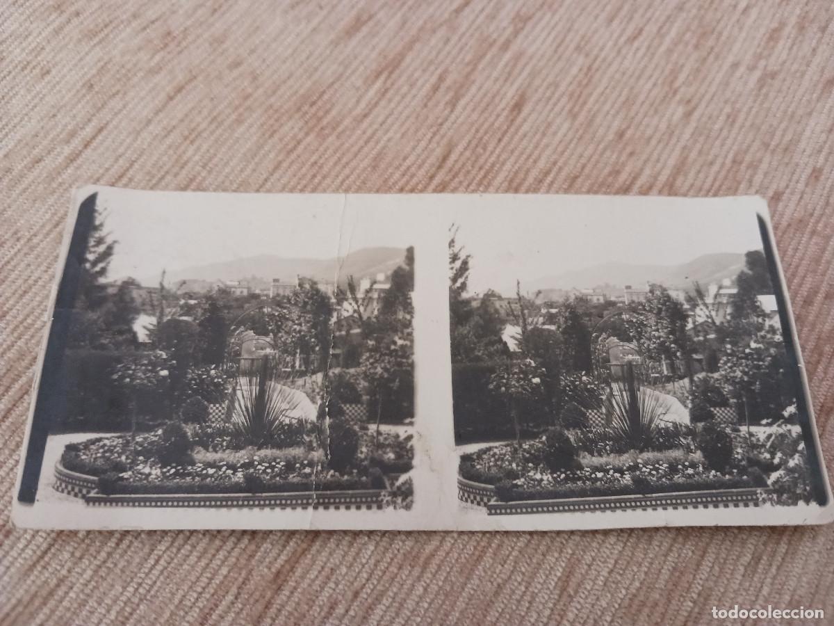 Fotograf&iacute;a antigua: fotografia estereoscopica, jardines, 12 x 6 cm.