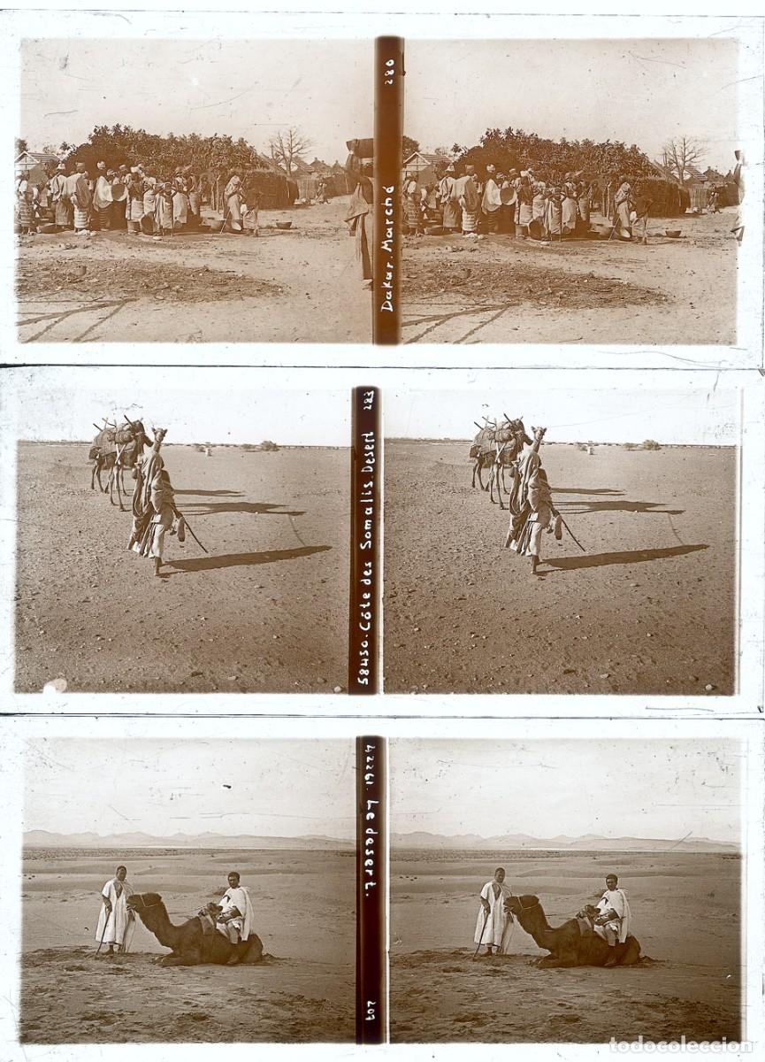 Fotograf&iacute;a antigua: ARGELIA TUNEZ MARRUECOS 14 ESTEREOSCOPICAS DE CRISTAL FORMATO 6 X 13 CM.