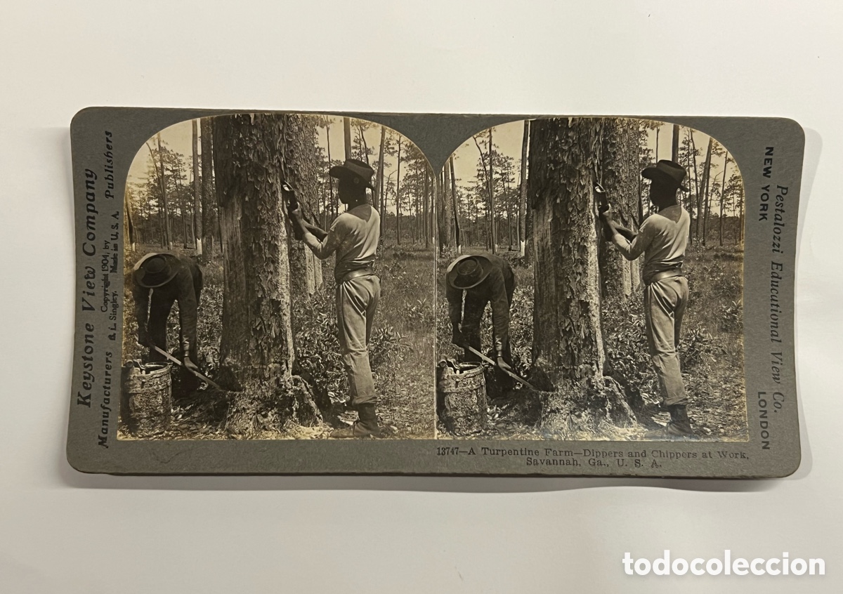 Fotograf&iacute;a antigua: ESTEREOSC&Oacute;PICA Savannah, Georgia. USA. Keystone View Company titulado A Turpentine Farm