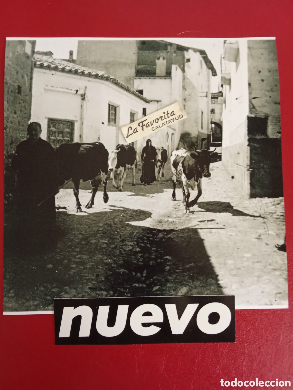 Fotograf&iacute;a antigua: Copia de original de cristal Estereosc&oacute;pica,CALATAYUD Calle San Miguel , vacas C.1900 An&oacute;nimo