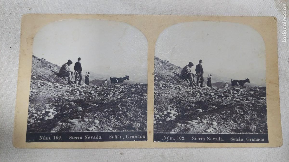 Fotograf&iacute;a antigua: Fotograf&iacute;a estereoscopica Sierra Nevada Granada