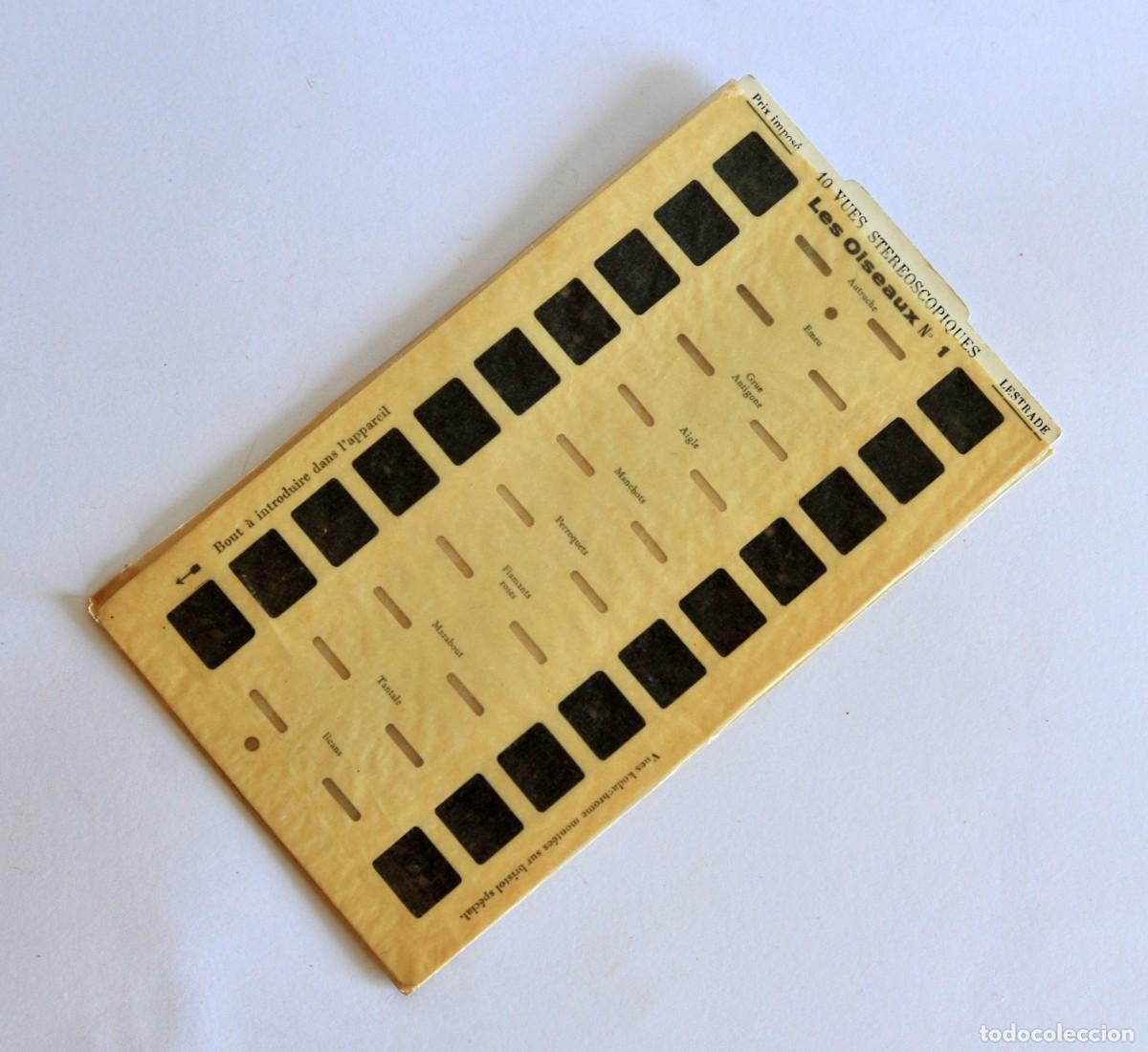 Fotograf&iacute;a antigua: Tarjeta diapositiva estereosc&oacute;pica LESTRADE. Les Oiseaux N&ordm; 1 Francia. Mide 17,5 x 10 cm.