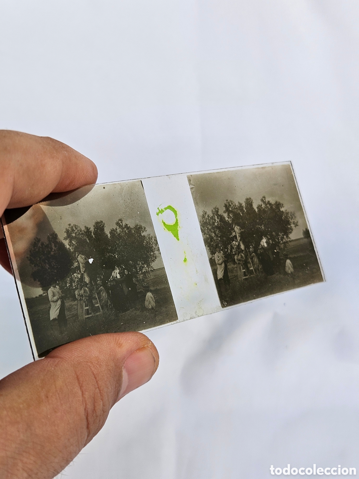 Fotograf&iacute;a antigua: FOTO ESTEREOSCOPICA EN CRISTAL. HOMBRES EN EL CAMPO