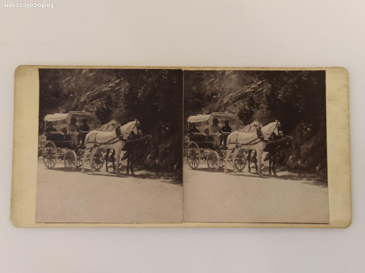 Fotograf&iacute;a antigua: CARRUAJE - FOTOGRAFIA ANTIGUA ESTEREOSCOPICA - CLIXE GORINA -(K-16.122)