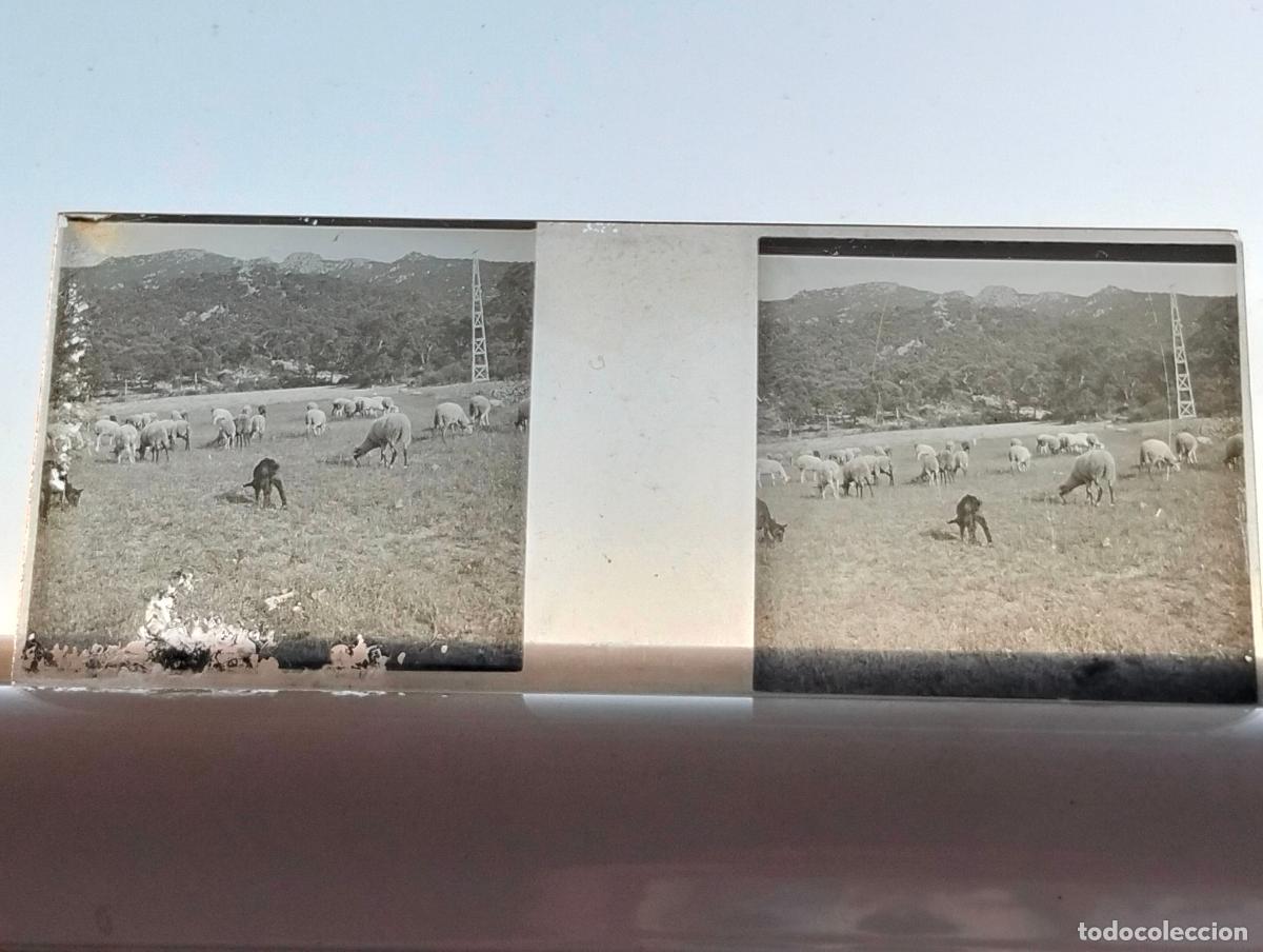 Fotograf&iacute;a antigua: GUIPUZCOA VISTA ESTEREOSCOPICA EN CRISTAL 4 X 10,5 CM