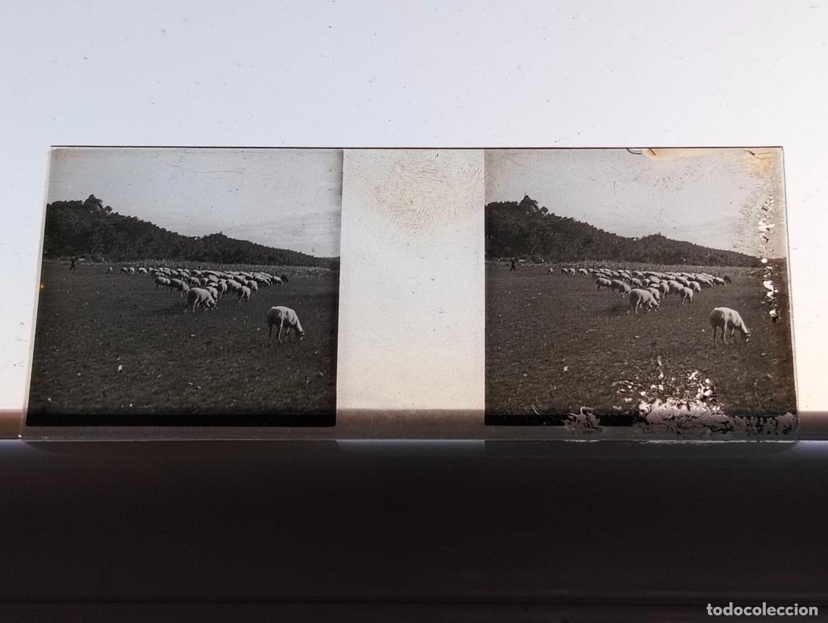 Fotografia antica: GUIPUZCOA VISTA ESTEREOSCOPICA EN CRISTAL 4 X 10,5 CM