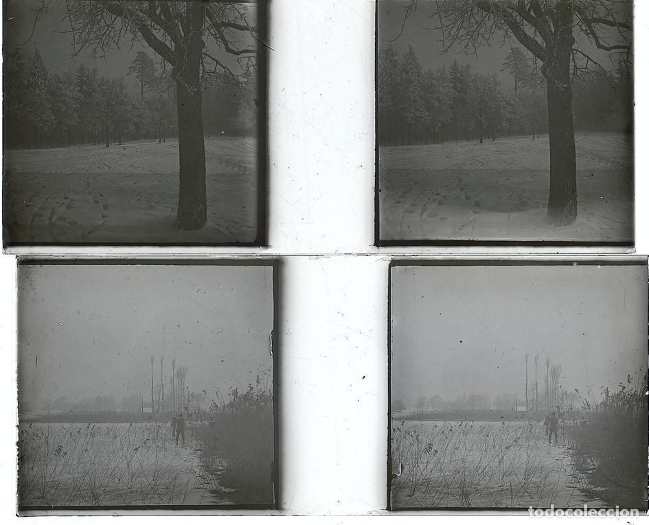 Fotograf&iacute;a antigua: LOTE DE 14 ESTEREOSCOPICAS DE CRISTAL TAMA&Ntilde;O 4.X10.7 CM