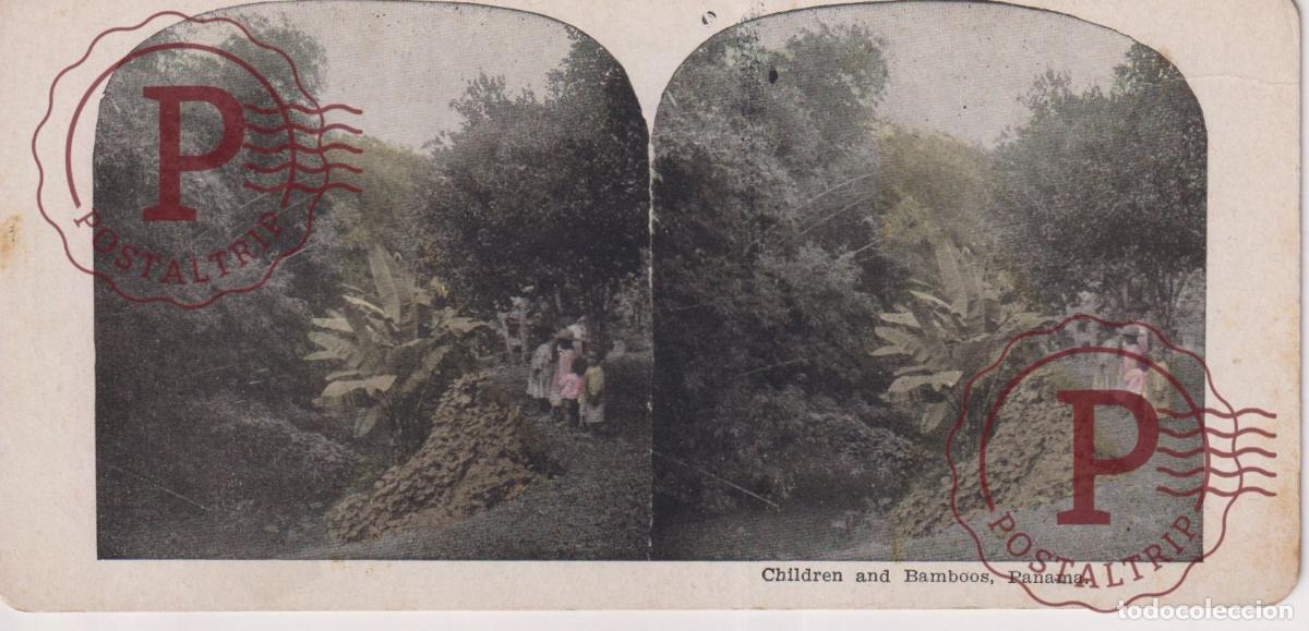 Fotograf&iacute;a antigua: CHILDREN AND BAMBOOS, PANAMA ESTEREOSCOPICA st&eacute;r&eacute;oscopique 18 X 8.5 cm