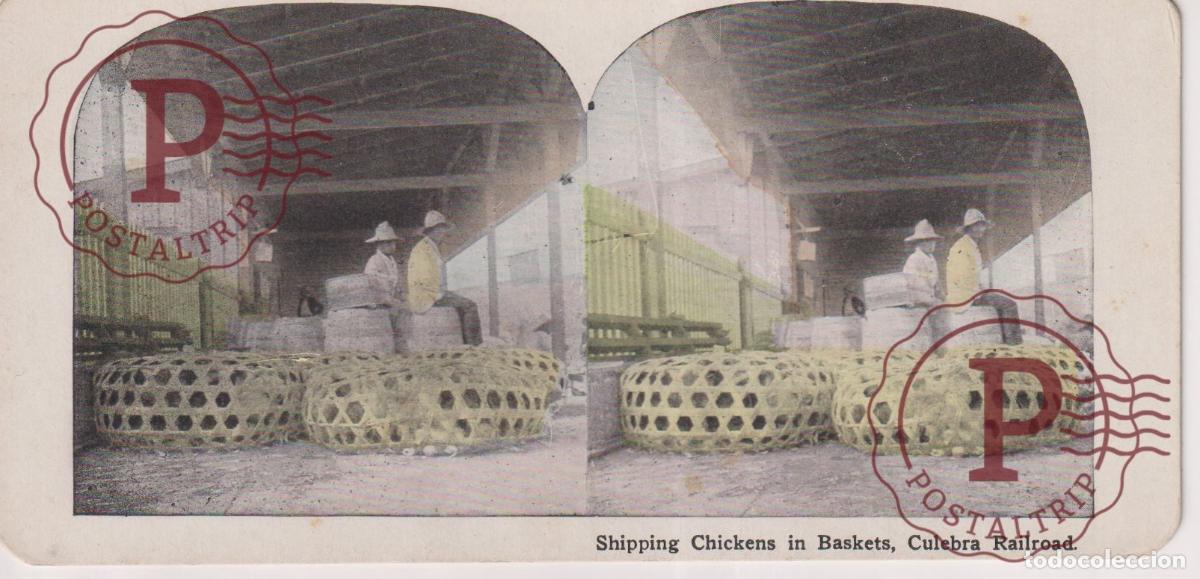 Fotograf&iacute;a antigua: CULEBRA RAILROAD. SHIPPING CHICKENS IN BASKETS ESTEREOSCOPICA st&eacute;r&eacute;oscopique 18 X 8.5 cm