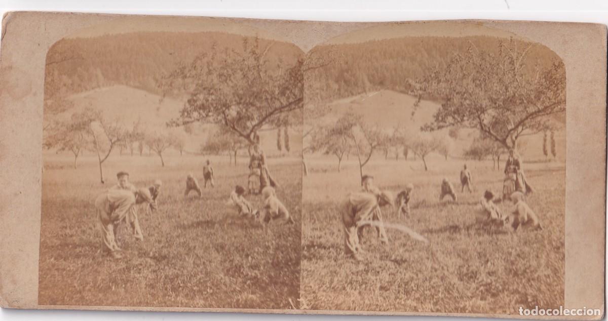 Fotograf&iacute;a antigua: Estereosc&oacute;pica Albumina agricultores en el campo. Lugar sin identificar. No figura fot&oacute;grafo.