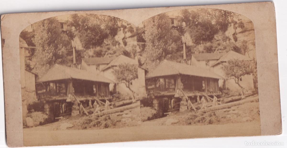 Fotograf&iacute;a antigua: Estereosc&oacute;pica Albumina lugar sin identificar, casa rural junto a unos troncos.