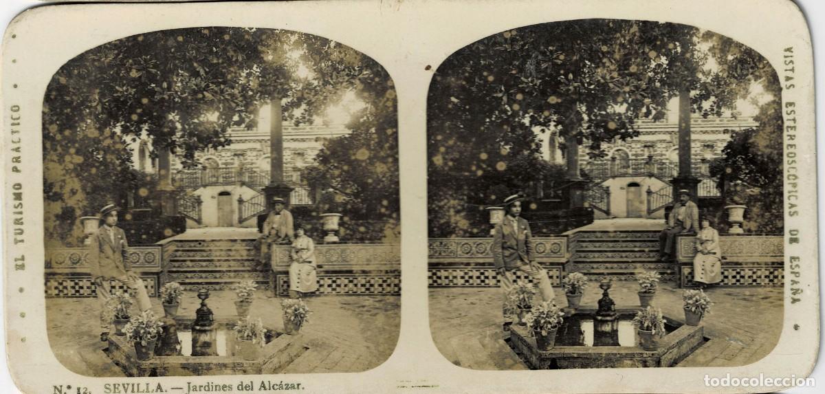 Fotograf&iacute;a antigua: FOTOGRAF&Iacute;A ESTEREOSCOPICA SEVILLA. JARDINES DEL ALCAZAR. P-ESTEO-430