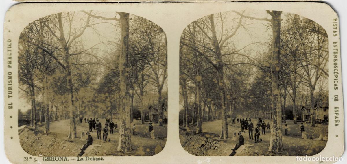 Fotograf&iacute;a antigua: FOTOGRAF&Iacute;A ESTEREOSCOPICA GERONA. LA DEHESA. P-ESTEO-442