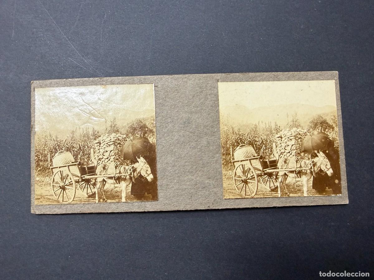 Fotograf&iacute;a antigua: FOTOGRAF&Iacute;A ESTEREOSC&Oacute;PICA ANTIGUA. CECEDA. ASTURIAS. 1923