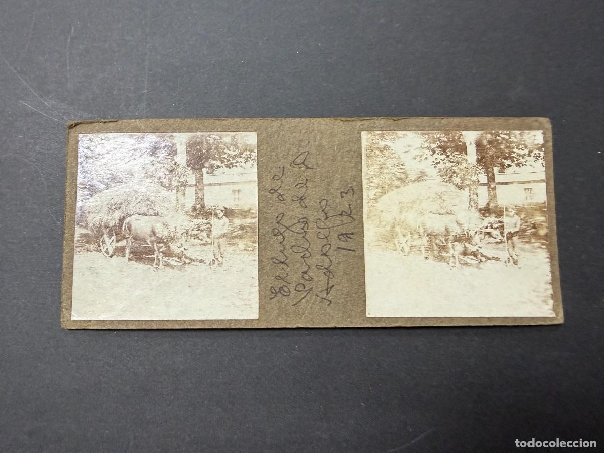 Fotograf&iacute;a antigua: FOTOGRAF&Iacute;A ESTEREOSC&Oacute;PICA ANTIGUA. CARRO DE BUEYES CARGADO DE HENO. 1923. ASTURIAS