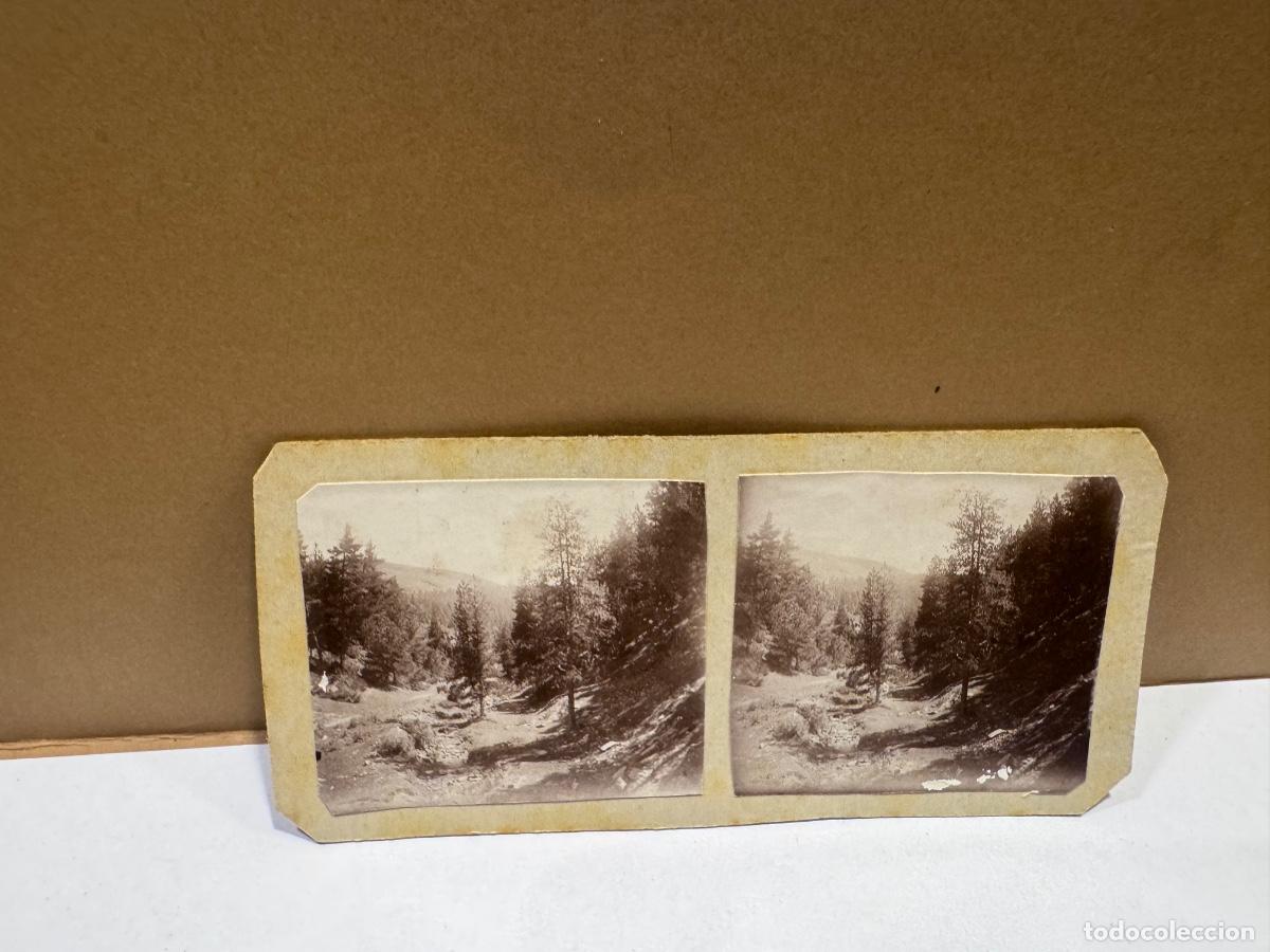 Fotograf&iacute;a antigua: FOTOGRAF&Iacute;A ESTEROSC&Oacute;PICA ORIGINAL A&Ntilde;OS 20-30 / COMPRA MIN&Iacute;MA 5 &euro; (LOTE 3)