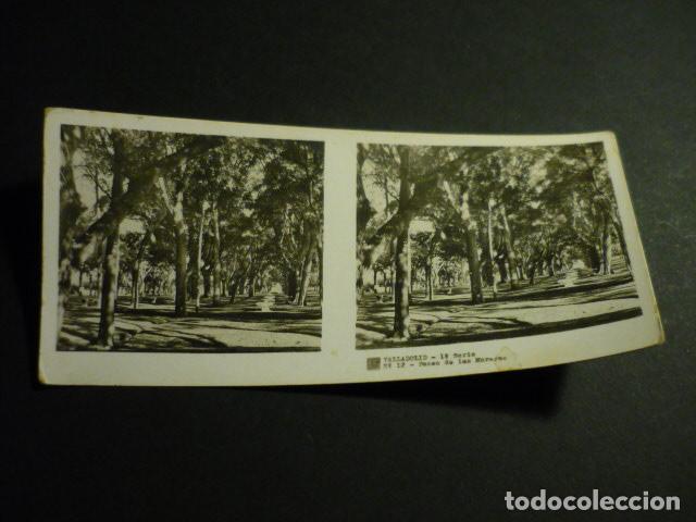Fotograf&iacute;a antigua: VALLADOLID PASEO DE LAS MORERAS ANTIGUA VISTA ESTEREOSCOPICA 6 X 13 CM