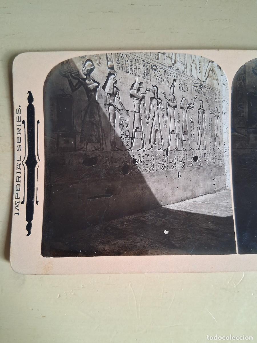 Fotograf&iacute;a antigua: Representaciones en la pared del templo de Sethos I. EGIPTO A&Ntilde;O 1901.