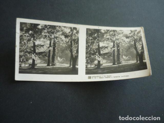 Fotograf&iacute;a antigua: VALLADOLID CAMPO GRANDE DETALLE ANTIGUA VISTA ESTEREOSCOPICA 6 X 13 CM