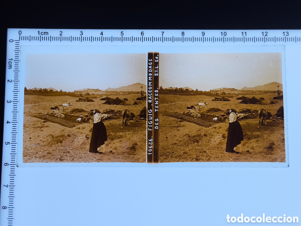 Fotograf&iacute;a antigua: Antigua placa cristal vidrio estereosc&oacute;pico Protectorado Franc&eacute;s Oasis Figuig Marruecos