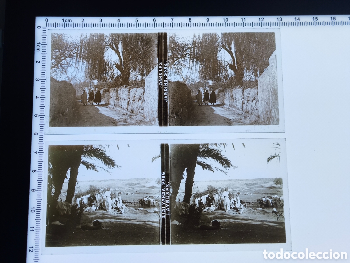 Fotograf&iacute;a antigua: Antiguas placas cristal vidrio estereosc&oacute;pico Oasis Sidi Yahya Oujda Protectorado Franc&eacute;s Marruecos