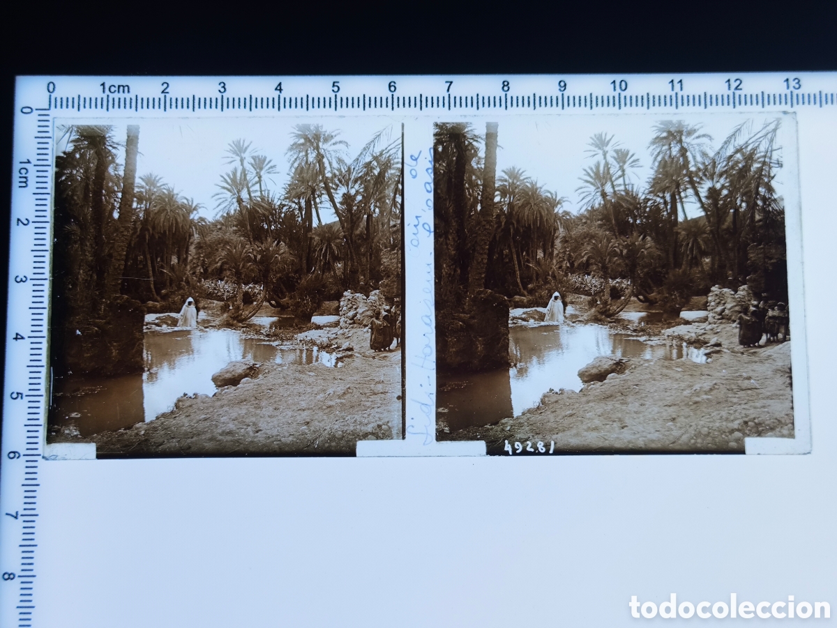 Fotograf&iacute;a antigua: Antigua placa cristal vidrio estereosc&oacute;pico Oasis de Sidi Harazem Protectorado Franc&eacute;s Marruecos