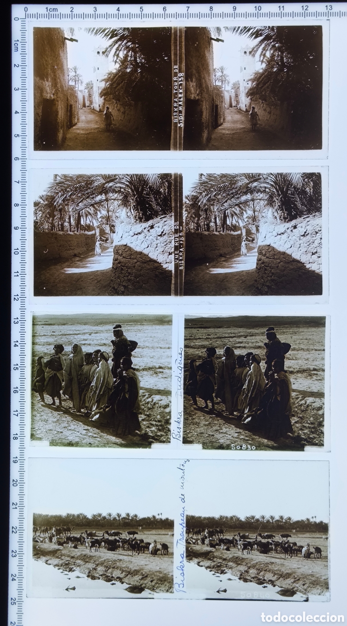 Fotograf&iacute;a antigua: Antiguas placas cristal vidrio estereosc&oacute;pico Colonia &Aacute;frica Francesa Ciudad Oasis Biskra Argelia