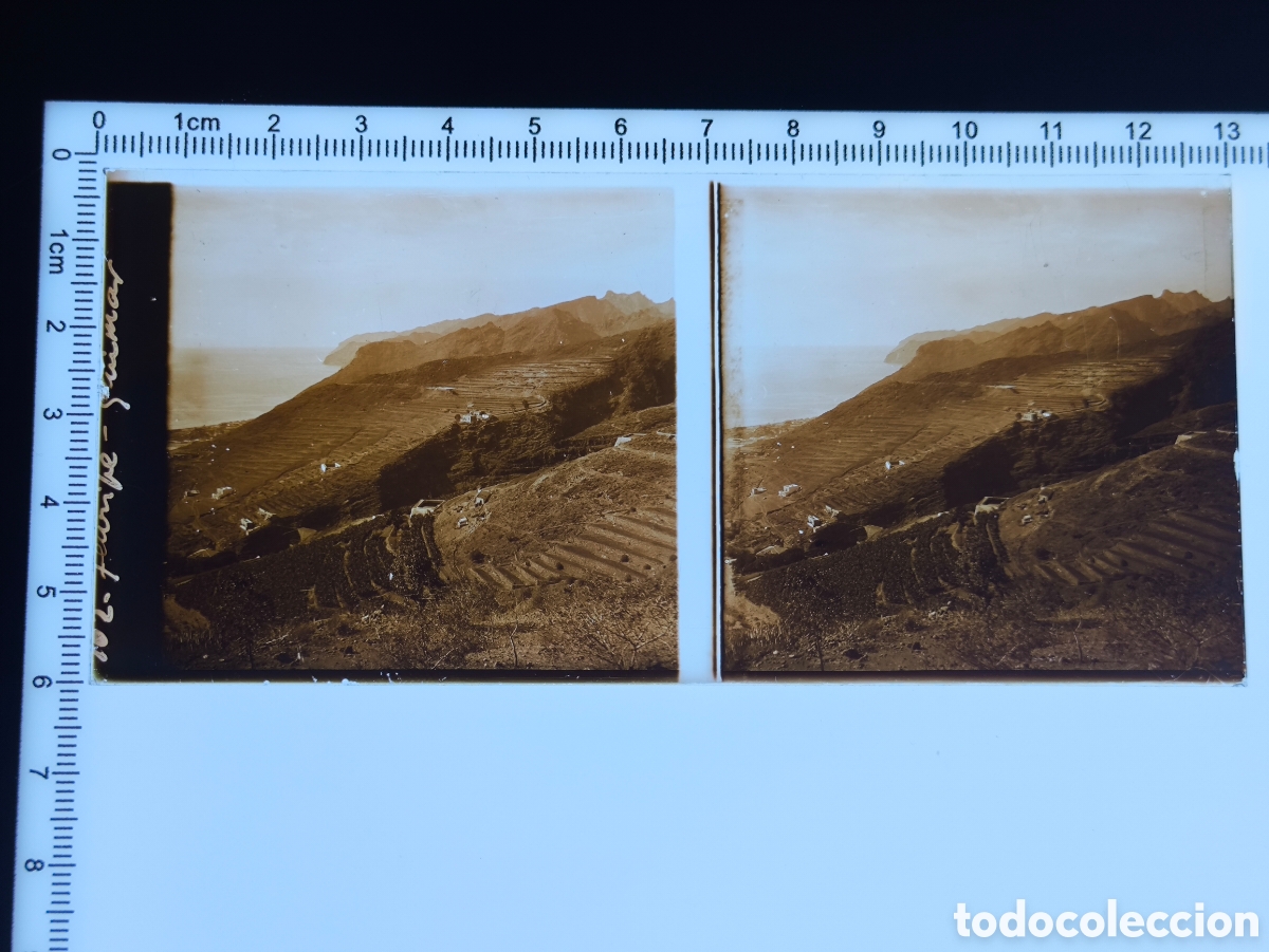 Fotograf&iacute;a antigua: Antigua placa cristal vidrio estereosc&oacute;pico Bancales Terrazas de Cultivo G&uuml;&iacute;mar Tenerife