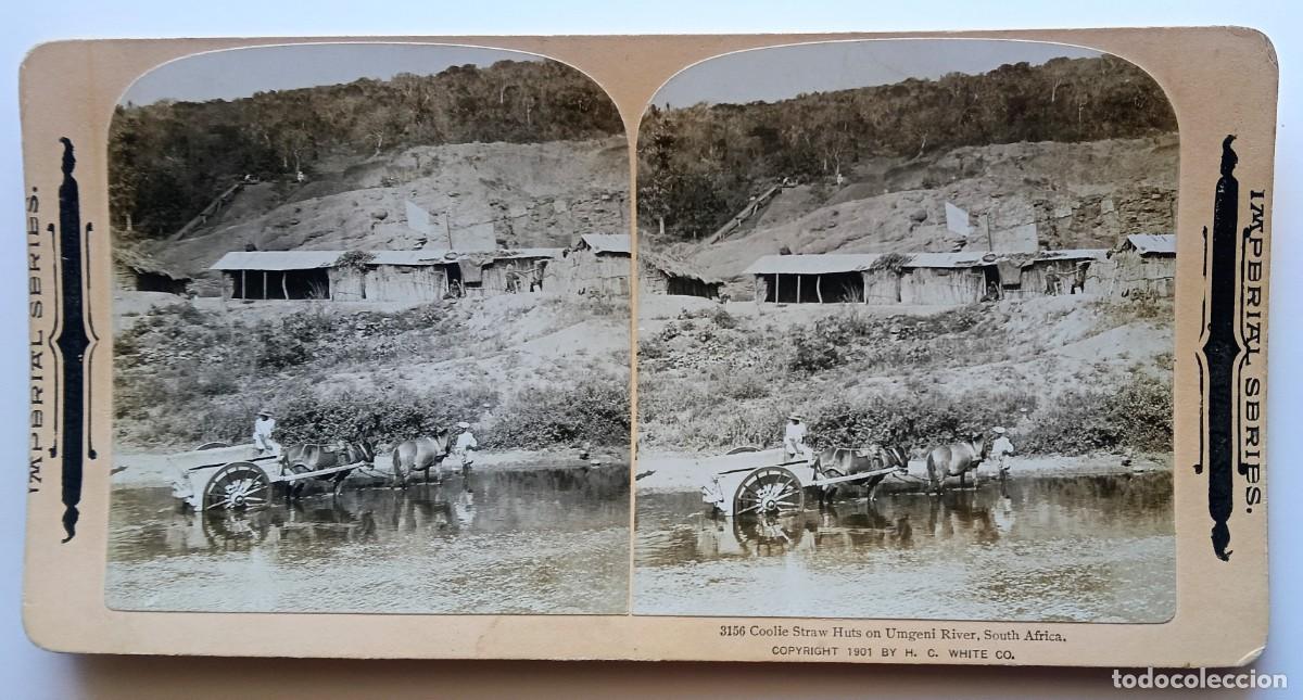 Fotograf&iacute;a antigua: SUDAFRICA ANTIGUA ESTEREOSCOPICA DE IMPERIAL SERIES FORMATO 9 X 18 cm.