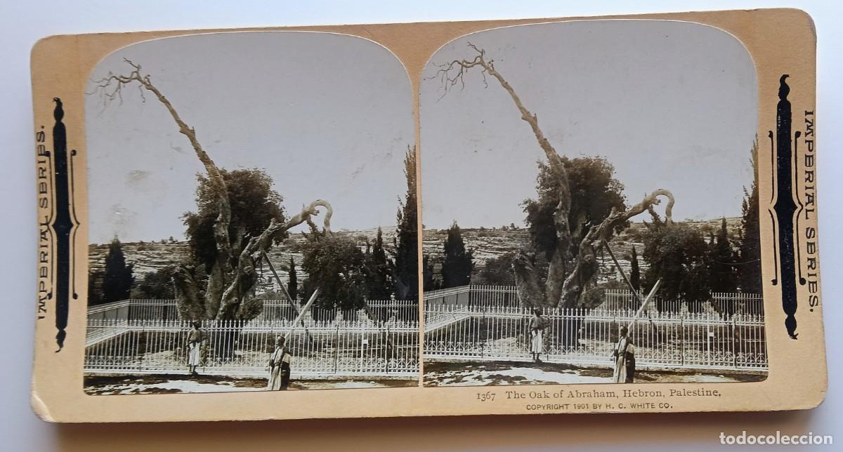 Fotograf&iacute;a antigua: PALESTINA ANTIGUA ESTEREOSCOPICA DE IMPERIAL SERIES FORMATO 9 X 18 cm.