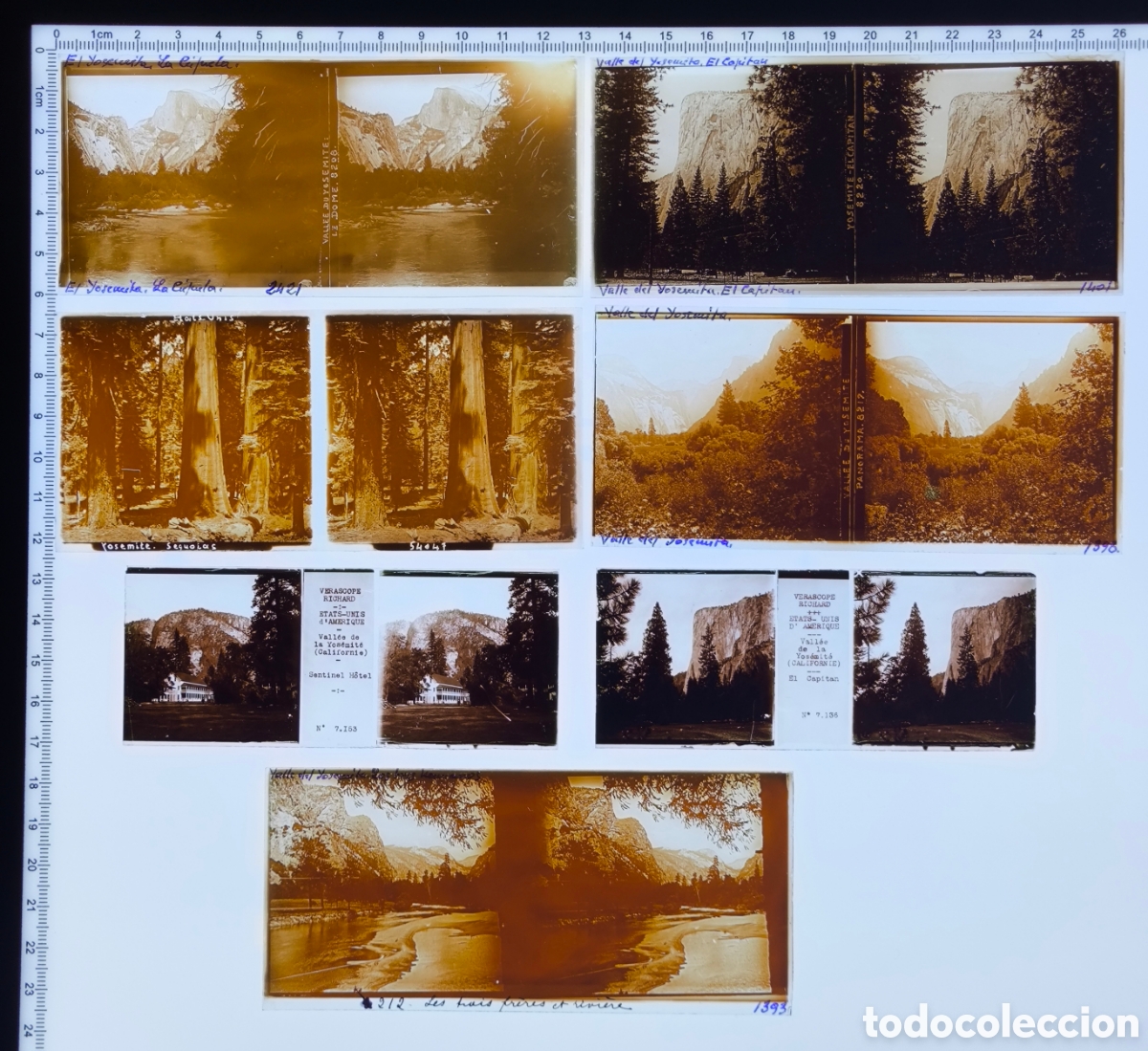 Fotograf&iacute;a antigua: Placas cristal vidrio estereosc&oacute;pico Yosemite Secuoyas Hotel Sentinel California Estados Unidos