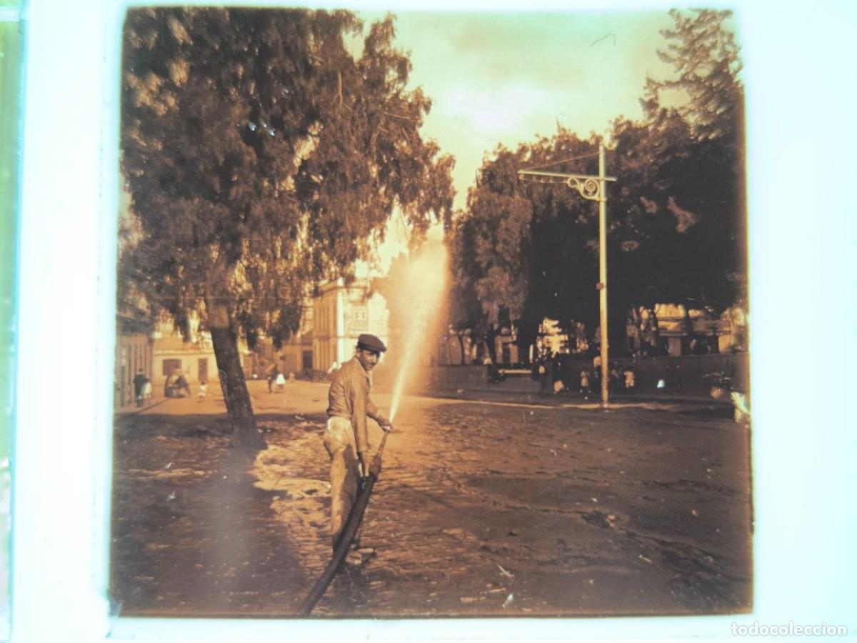 Fotograf&iacute;a antigua: 19 PLACAS CRISTAL ESTEREOSCOPICAS POSITIVAS, CANARIAS TENERIFE - LA LAGUNA ETC C. 1900
