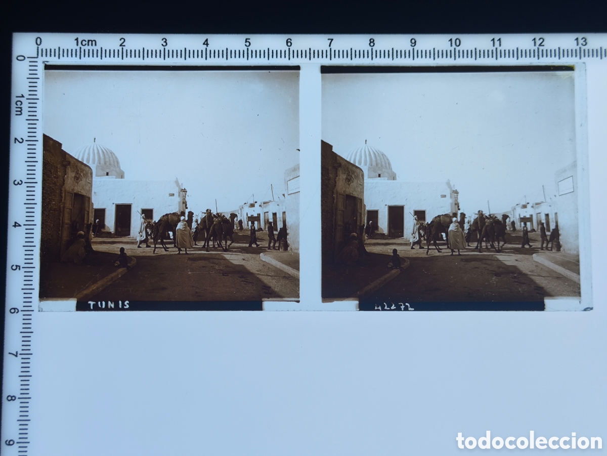 Fotografia antiga: Antigua placa cristal vidrio estereosc&oacute;pico Mezquita Mausoleo Zau&iacute;a Protectorado Franc&eacute;s T&uacute;nez