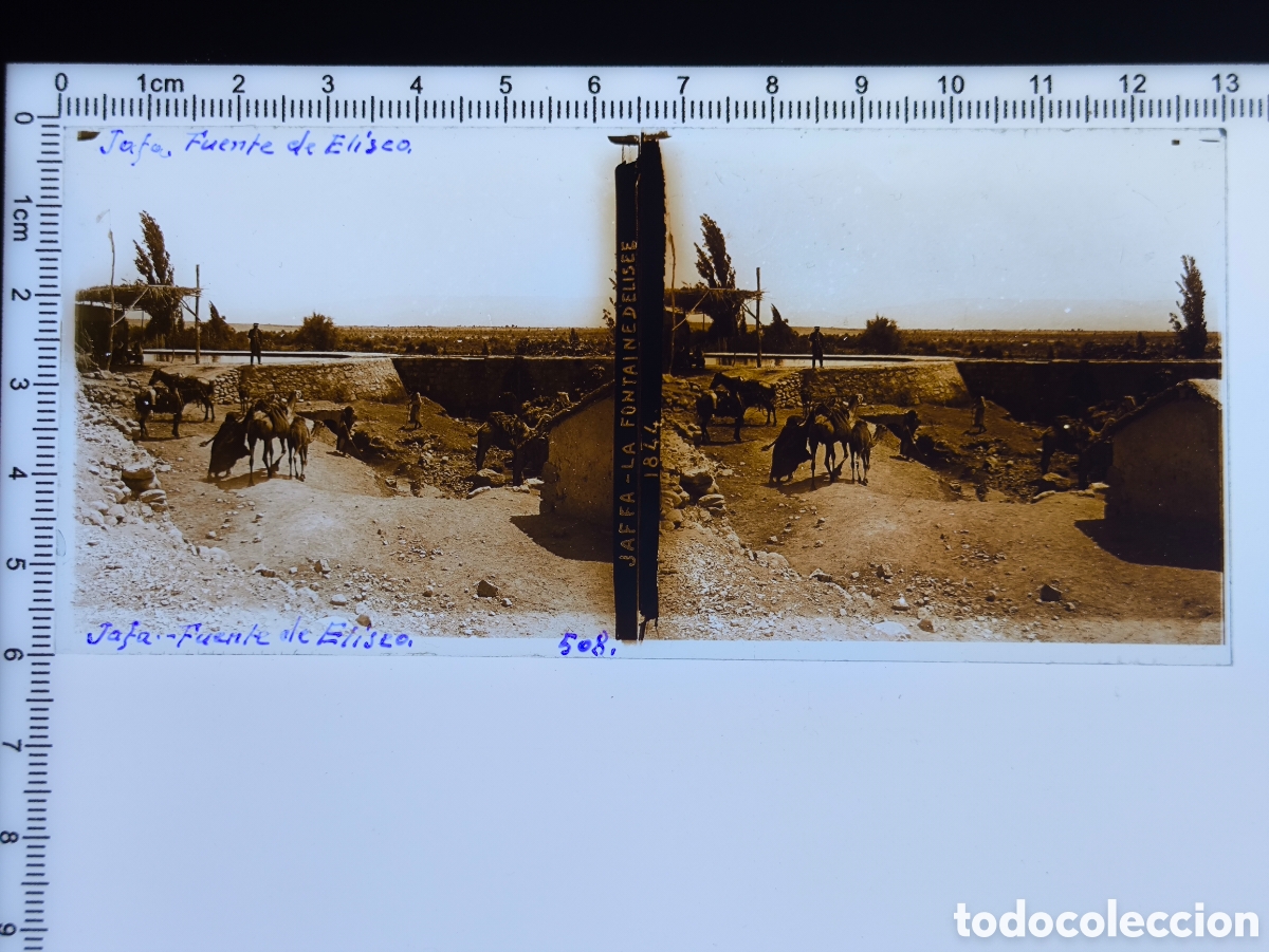 Fotografia antica: Antigua placa cristal vidrio estereosc&oacute;pico Manantial Fuente de Eliseo Ein es-Sultan Jeric&oacute; Palestin