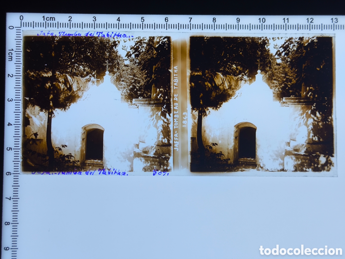 Fotografia antica: Antigua placa cristal vidrio estereosc&oacute;pico Tumba de Tabitha Jaffa Palestina