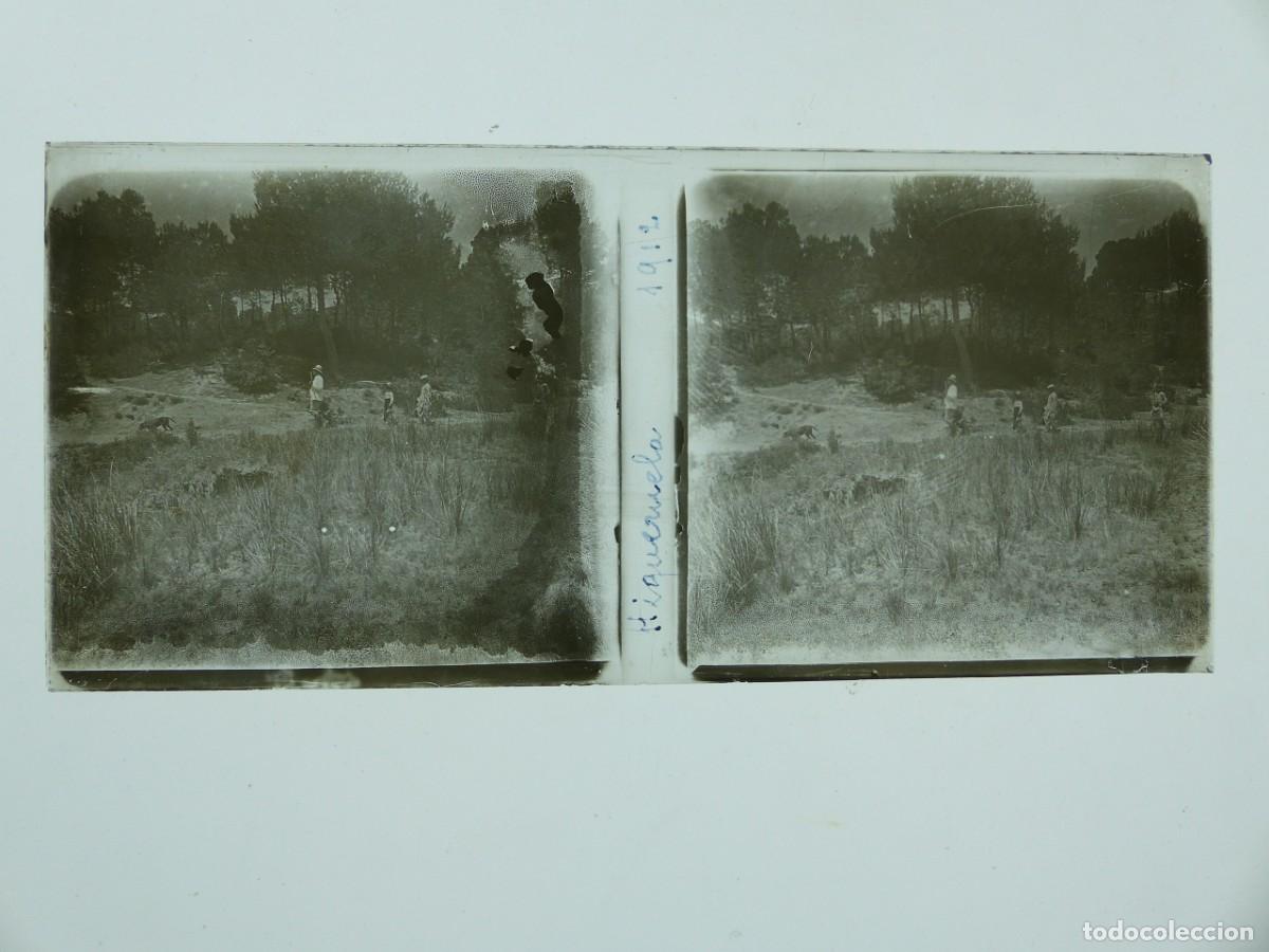 Fotograf&iacute;a antigua: HIGUERUELA, ALBACETE, VISTA, PLACA ESTEREOSCOPICA POSITIVO EN CRISTAL - A&Ntilde;O 1912
