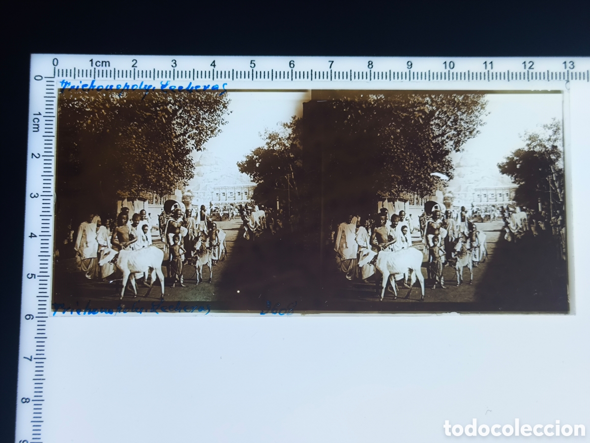 Fotograf&iacute;a antigua: Antigua placa cristal vidrio estereosc&oacute;pico Nativos y ganado Trichinopoly Tiruchirappalli India