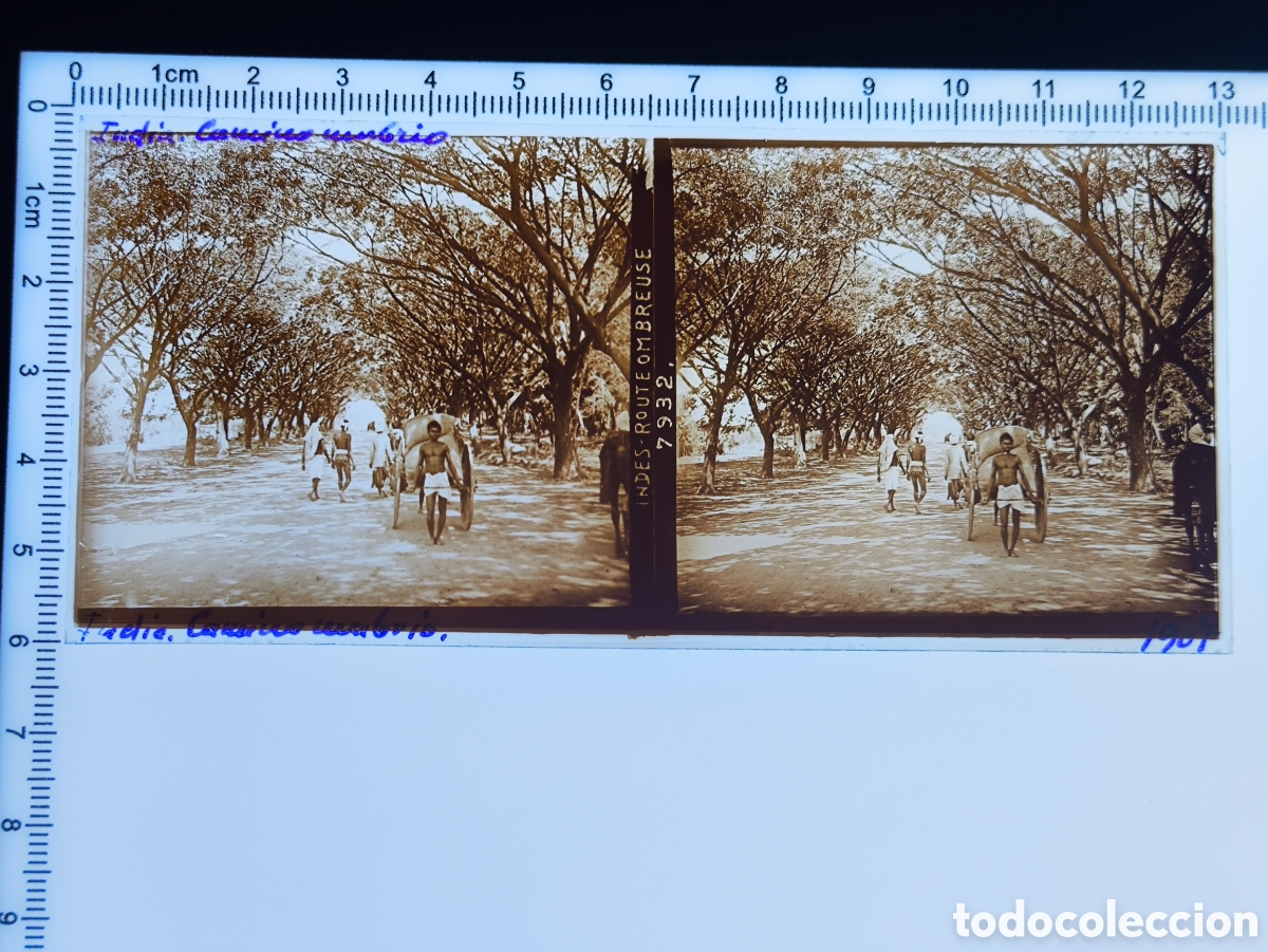 Fotograf&iacute;a antigua: Antigua placa cristal vidrio estereosc&oacute;pico Escena Costumbres Nativos &Eacute;poca Colonial Brit&aacute;nica India