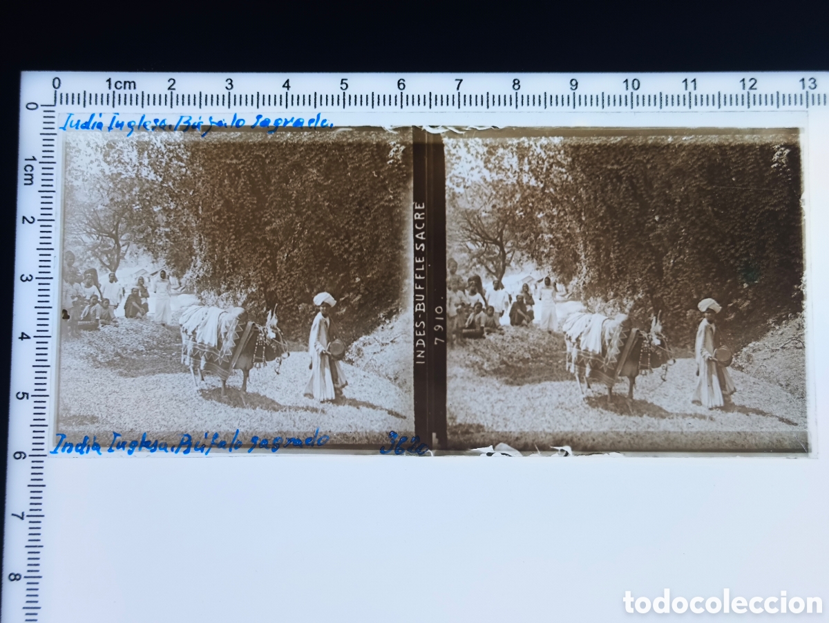 Fotograf&iacute;a antigua: Antigua placa cristal vidrio estereosc&oacute;pico Escena Costumbres Nativos &Eacute;poca Colonial Brit&aacute;nica India