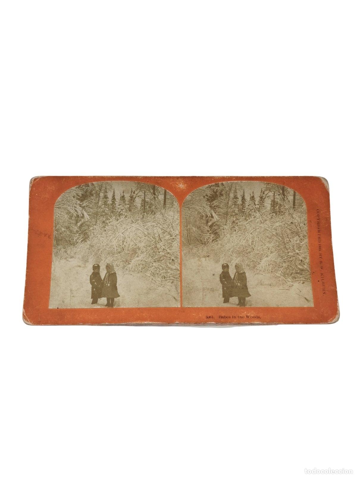 Fotograf&iacute;a antigua: Foto Estereosc&oacute;pica Antigua. Babes in the Woods. Ni&ntilde;os en la Nieve. Kilburn Brothers. c. 1885. 18x9