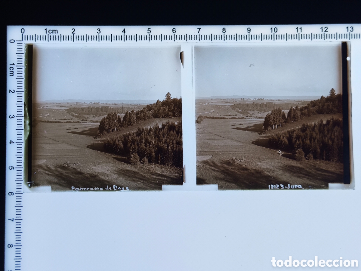 Fotografia antiga: Antigua placa cristal vidrio estereosc&oacute;pico Paisaje Rural Vista Panor&aacute;mica de Doye Jura Francia