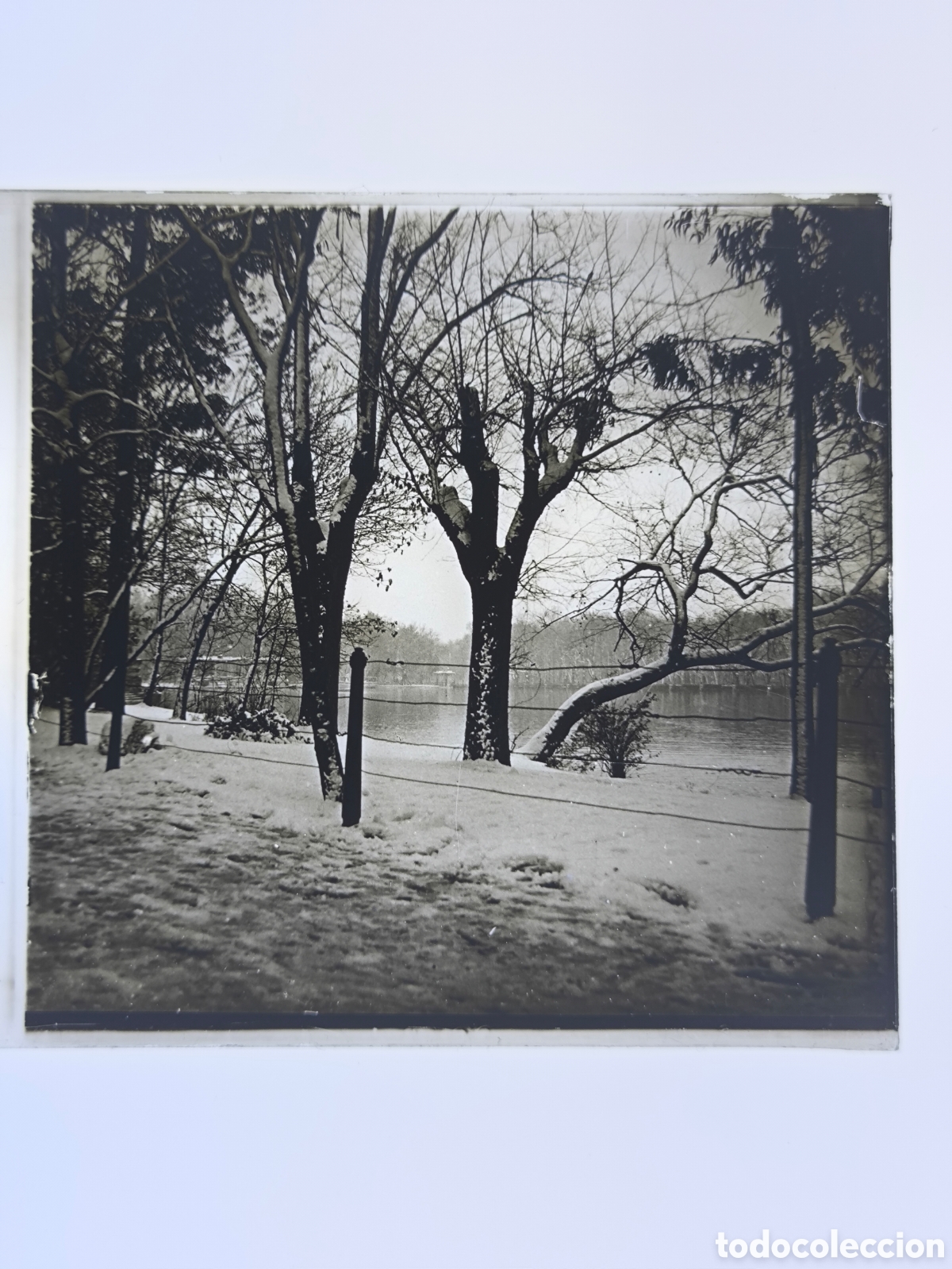 Fotograf&iacute;a antigua: Antigua placa cristal vidrio estereosc&oacute;pico Paisaje Nevado Paseo de Francia R&iacute;o Urumea San Sebasti&aacute;n