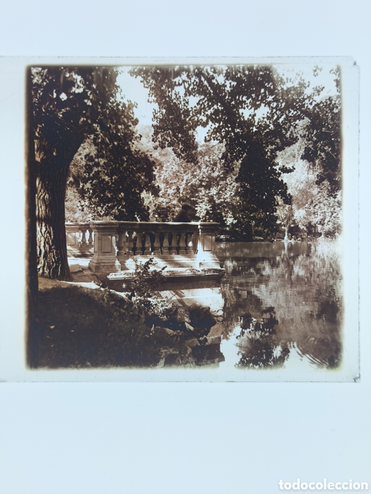 Fotograf&iacute;a antigua: Placa cristal vidrio estereosc&oacute;pico Balaustrada Estanque Palacio Cristal Parque del Retiro Madrid