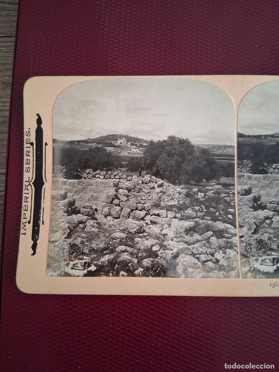 Fotograf&iacute;a antigua: BEL&Eacute;N PALESTINA. CAMPO DE.PASTORES, A&Ntilde;O 1901