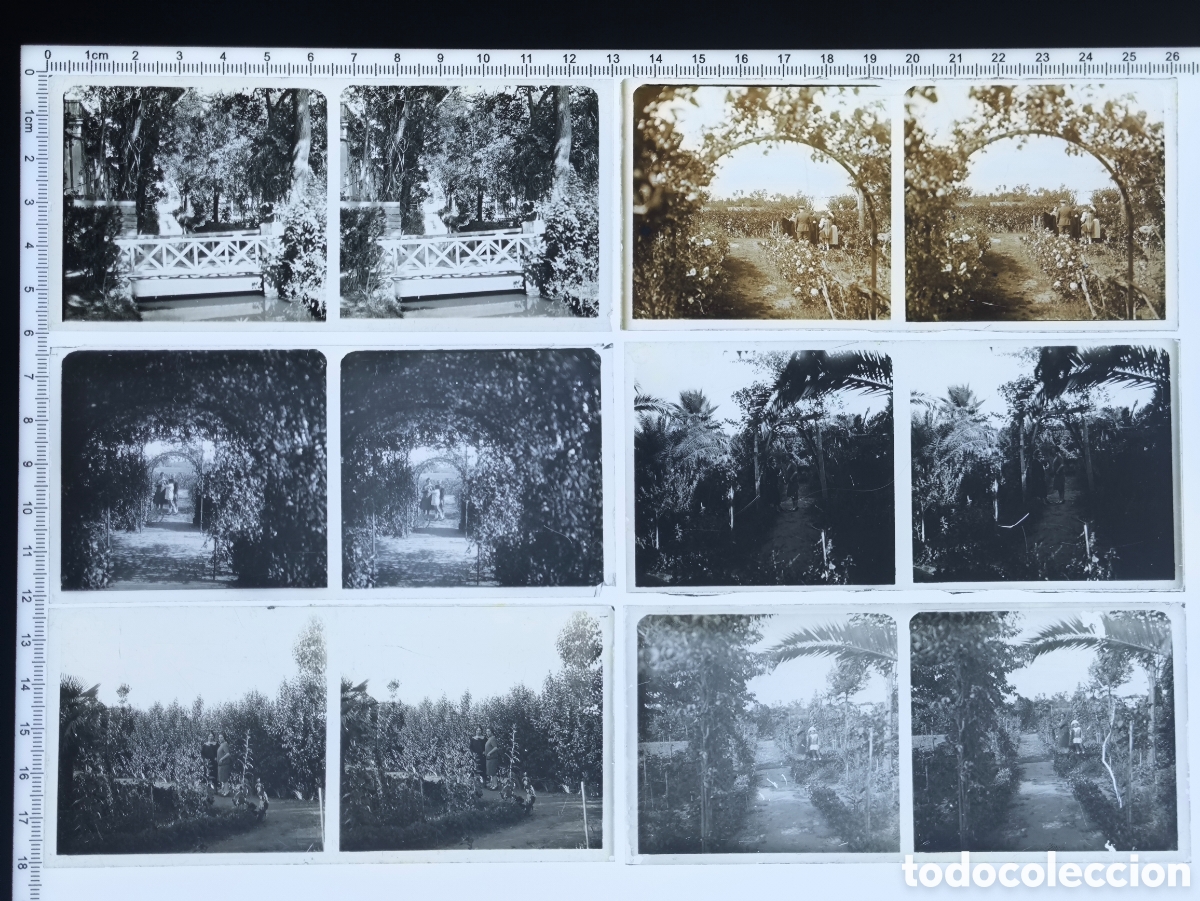 Fotograf&iacute;a antigua: Antigua placa cristal vidrio estereosc&oacute;pico Escena familia en desaparecido Parque del Vivero Badajoz