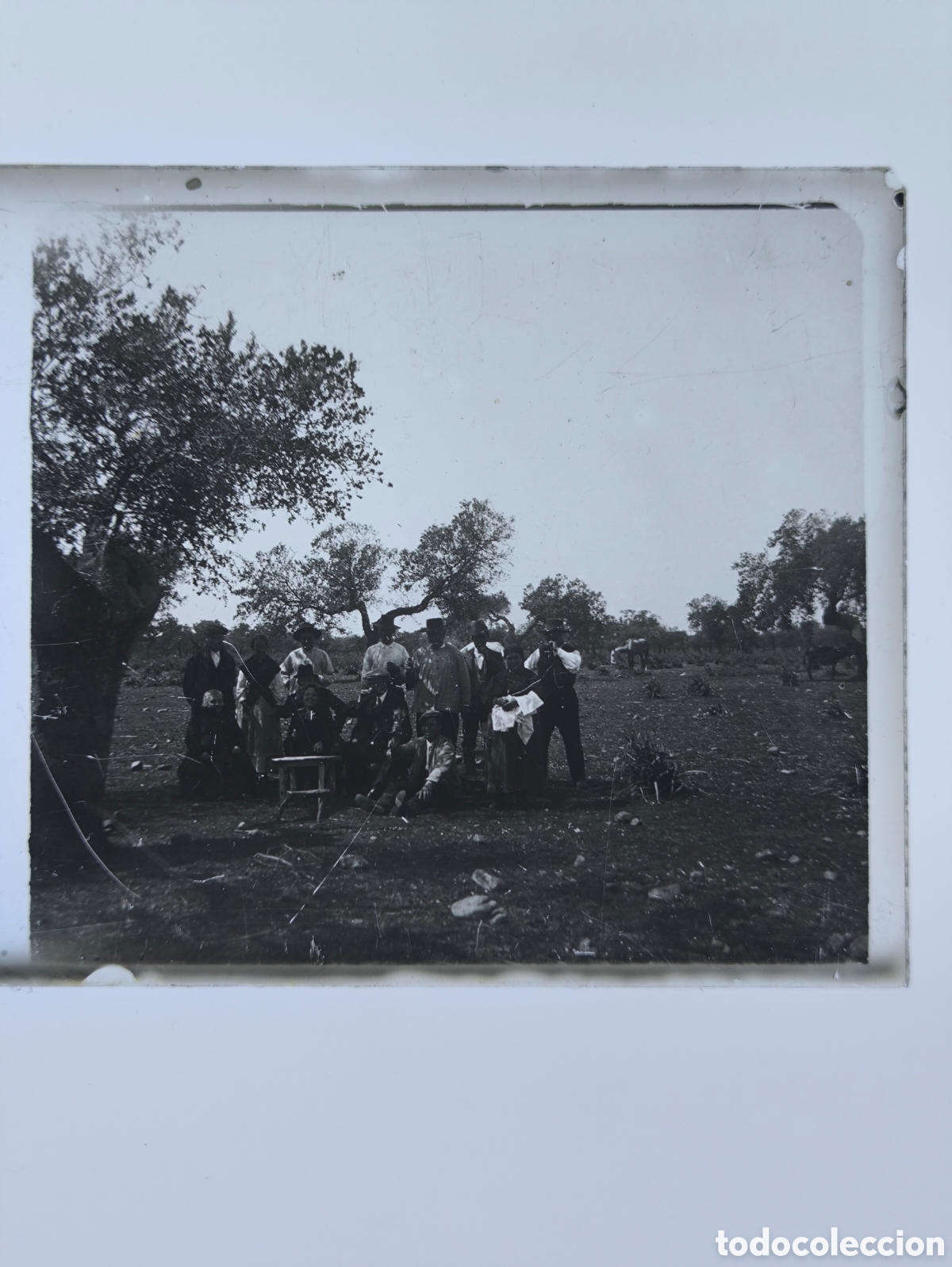 Fotograf&iacute;a antigua: Antigua placa cristal vidrio estereosc&oacute;pico Jornaleros en el campo provincia de Badajoz