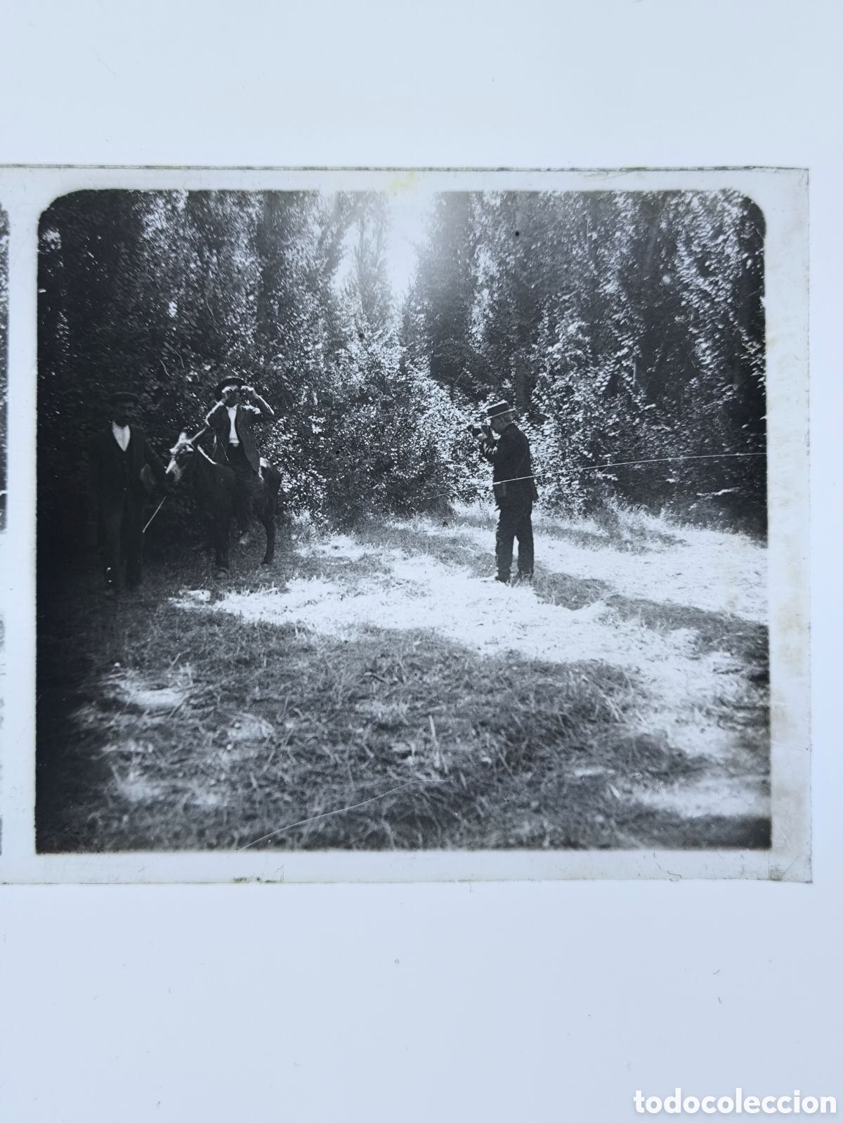 Fotograf&iacute;a antigua: Antigua placa cristal vidrio estereosc&oacute;pico Curiosa Escena Rural captada en la provincia de Badajoz