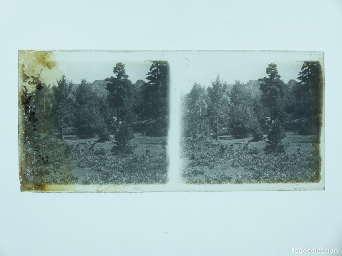 Fotograf&iacute;a antigua: BRONCHALES, TERUEL - VISTA - ANTIGUA PLACA DE CRISTAL POSITIVO - A&Ntilde;OS 1900-1910