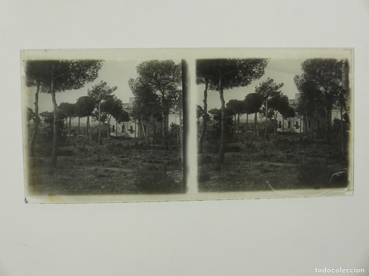 Fotograf&iacute;a antigua: ROCAFORT, VALENCIA - ANTIGUA PLACA DE CRISTAL POSITIVO - A&Ntilde;OS 1910-1920
