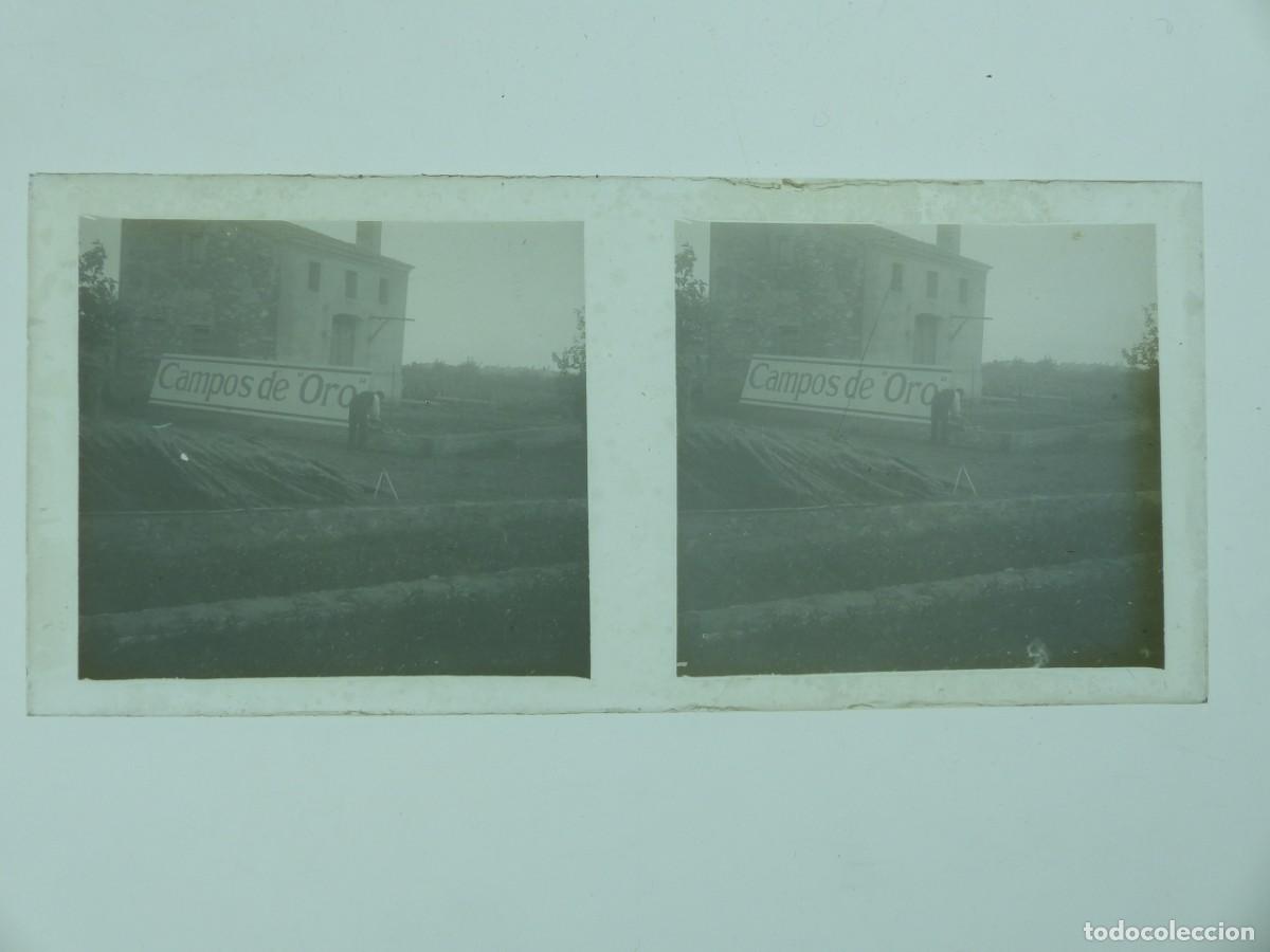 Fotograf&iacute;a antigua: ROCAFORT, VALENCIA - ANTIGUA PLACA DE CRISTAL POSITIVO - A&Ntilde;OS 1910-1920